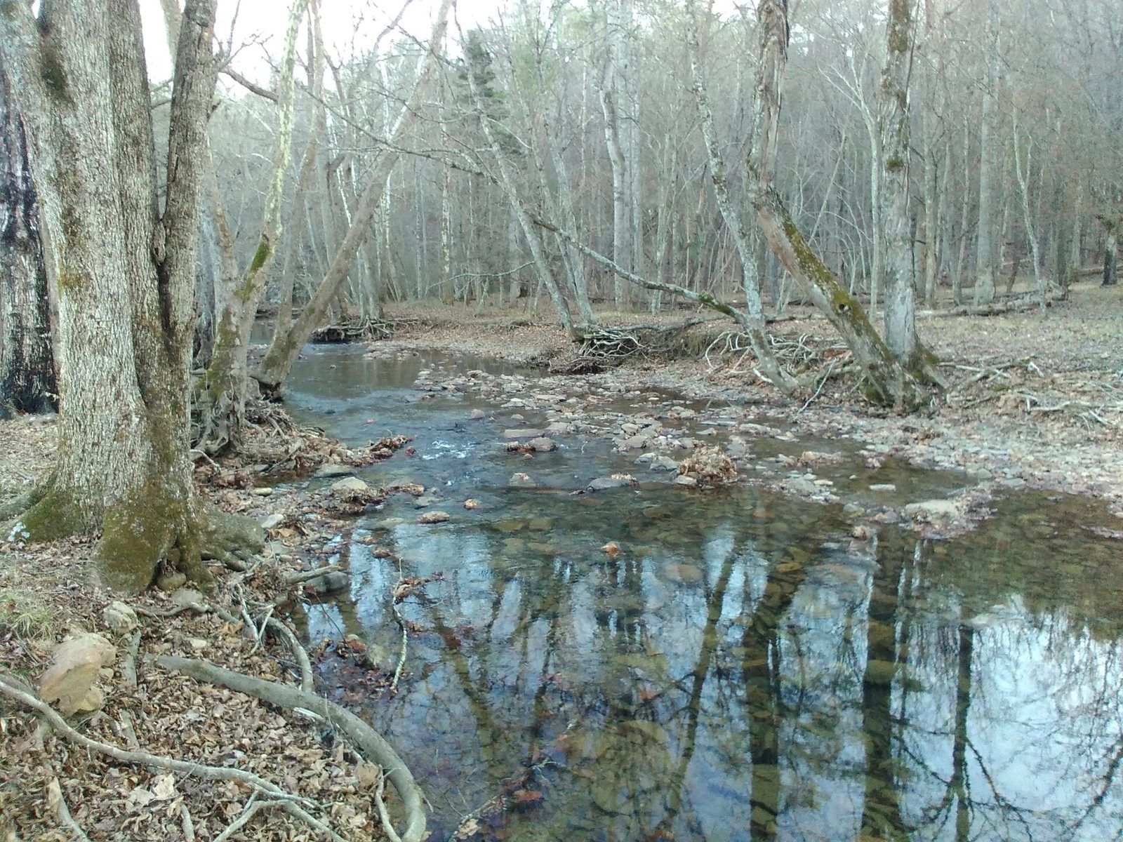 Upper Craig Creek, Montgomery County Virginia near Caldwell Fields